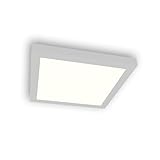 Lampenlux