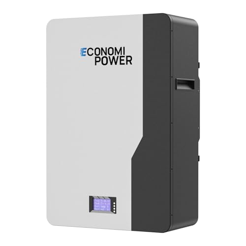 EconomiPower 51.2V 200Ah LiFePO4 Battery 10KWh 48V 100A BMS