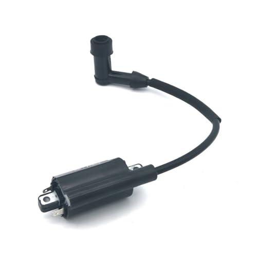 Bobina de encendido 2451902S para solucionar fallos de chispa en motores CV7456 2