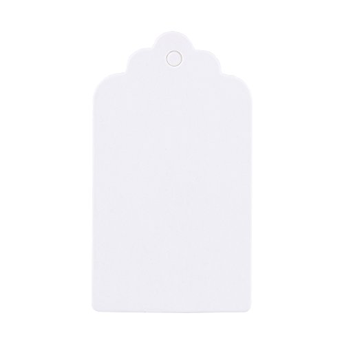 ANKROYU 100 NtgnO^O Be[WX^C EFfBOp[eB[ DӉi MtgJ[hx uC_V[ aCxgp uE zCg ubN 7cmx4cm 100