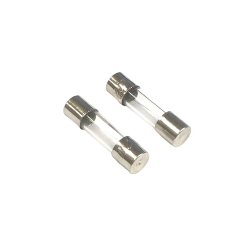 Fusible 315mA évite les pannes de circuit avec son tube verre rapide 6x30mm
