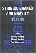 Strings, Branes and Gravity-Wow! eBook