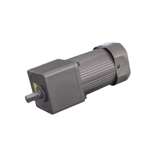 Moteur couple AC monophasé 220V 40W avec rotor bloqué et rapport de réduction 150
