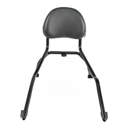 Dossier passager moto anti fatigue pour QJMOTOR SRV250 arrière