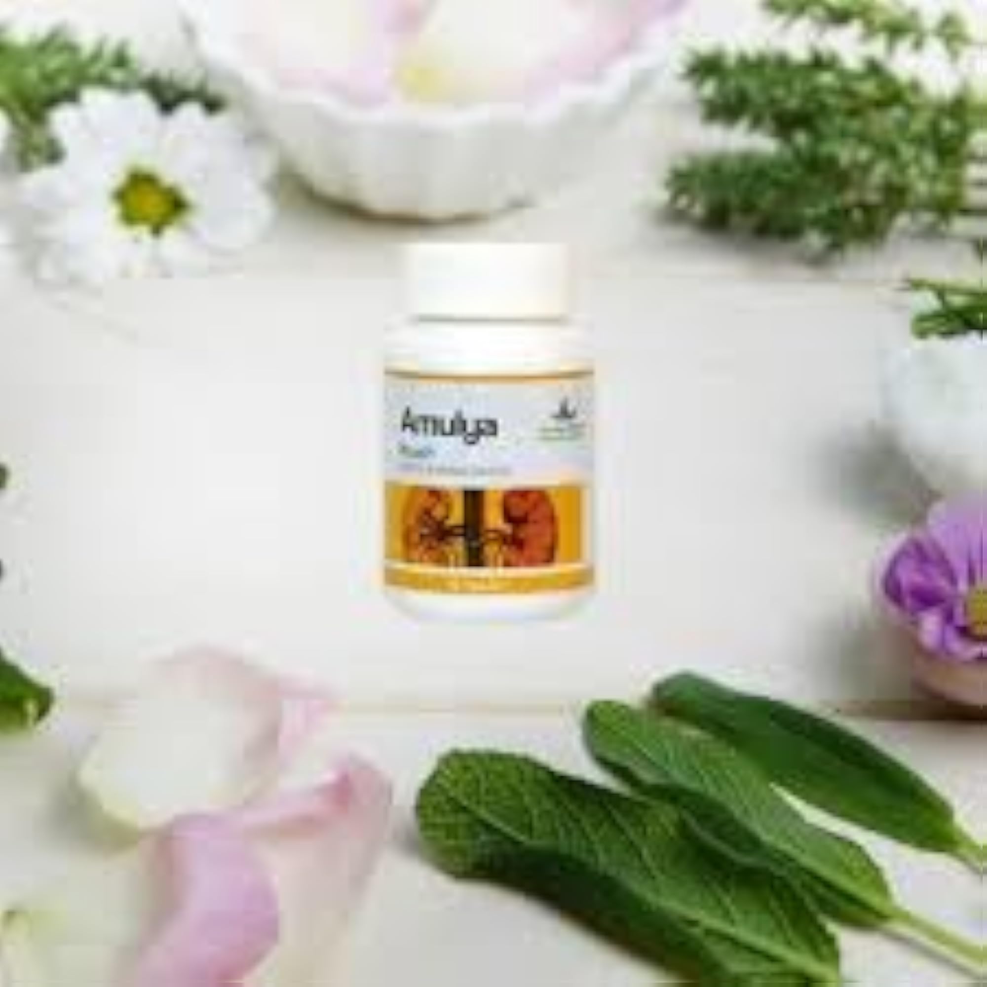 Pack of 2 KRUSH Capsules for Kidney Calculi
