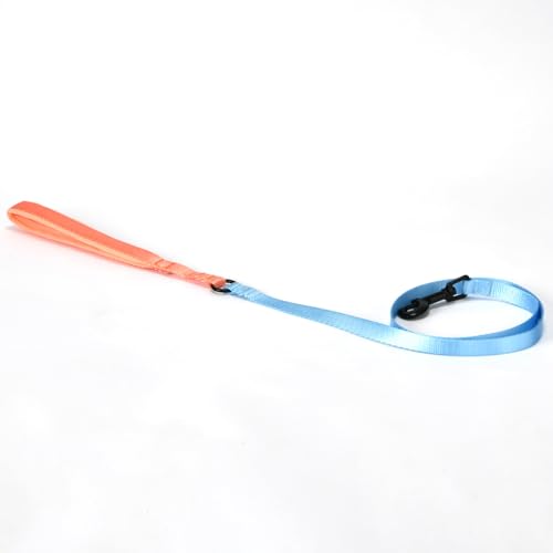 ビビットバイカラーリード S/M/L Solgra-ソルグラ- 犬用リード おしゃれ 超小型犬 小型犬 SO25SS M Blue/Orange