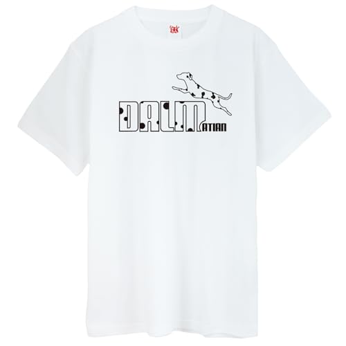 [V] TVc Aj} y_VA WvzyTzyLz /P5/