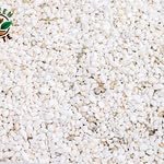 Horticultural Perlite for Plants – 2.5 Liters | Lightweight Soil Amendment for Drainage, Aeration & Root Growth | Ideal for Indoor Plants, Pots, Seed Starting, Succulents & Hydroponics