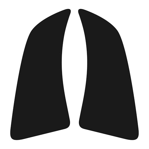 PRIME AVE Matte Black Stone Guard Vinyl Decal Compatible with