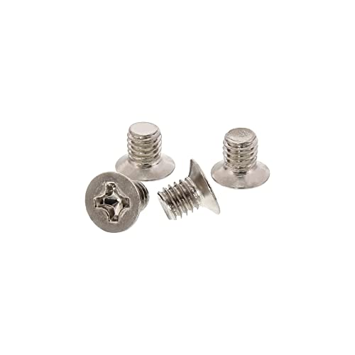 InLine 77781A 100er Pack Schraubenset, für 2,5' Festplatte / SSD, 3mm, flacher Senkkopf, silber