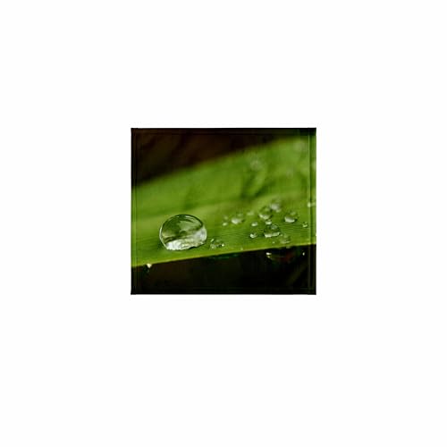3dRose Water Drops on Blade of Grass, Cape Town, Western Cape, South Africa. 11x12 Wash Cloth for Face and Body