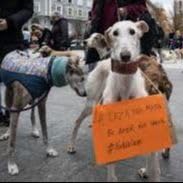 En un mundo feliz - 03/11/25