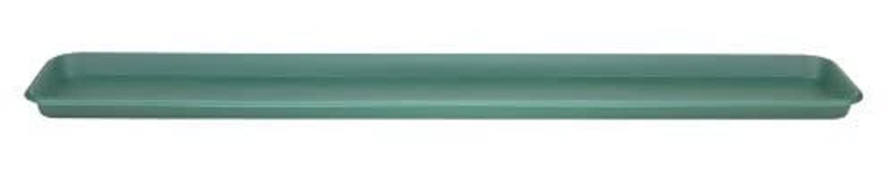 Stewart 2065019 Trough Tray, 80 cm - Green