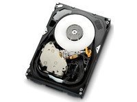 HGST 16MB HUS156030VLS600 Ultrastar 15000 RPM 300 GB sas
