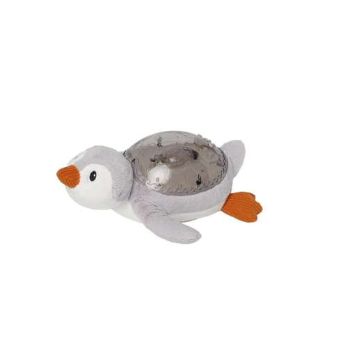 Cloud b Tranquil Penguin