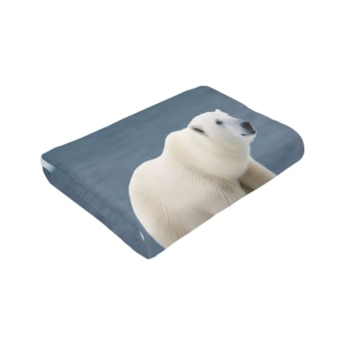 Couverture micro-polaire ours polaire lit flanelle plaid doux - 6