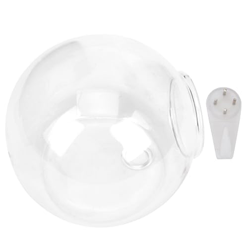 VALICLUD Jarrón Colgante de Vidrio Transparente para Plantas Maceta Hidropónica de 115X12 CM Florero de Pared Redondo para Decoración Interior y Exterior del Hogar