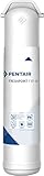 Pentair FreshPoint F1B1 Replacement Cartridge, Dual Carbon/Sediment Water Filter, 750 Gallon Capacity