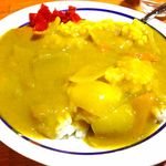 Amazon.co.jp: 新潟 昔懐かし黄色いカレー バスセンターのカレー 220g