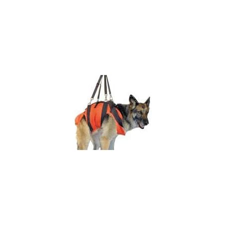 sar dog harness