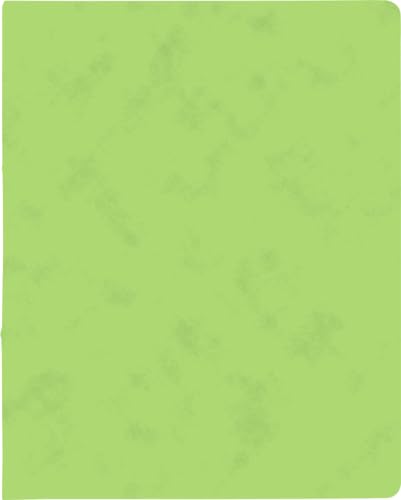 10X BRUNNEN Ringbuch A4 FACT!plus 2R 15mm h.gn