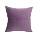 1 Pc miękkiego aksamitu poszewka na poduszkę poduszki dekoracyjne rzuć poszewka na poduszkę miękkie jednolite kolory wystrój domu sofa do salonu 30x50 cm, fioletowy