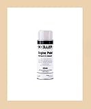 Moeller Engine Spray Paint, (12 Oz.) Evinrude White