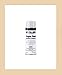 Moeller Engine Spray Paint, (12 Oz.) Evinrude White
