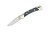Buck Knives The 55 Mini 110 Folding Hunter Locking Pocket Knife, Indigo Blue Handle, 2 3/8-Inch Drop Point Blade, 0055LSSH