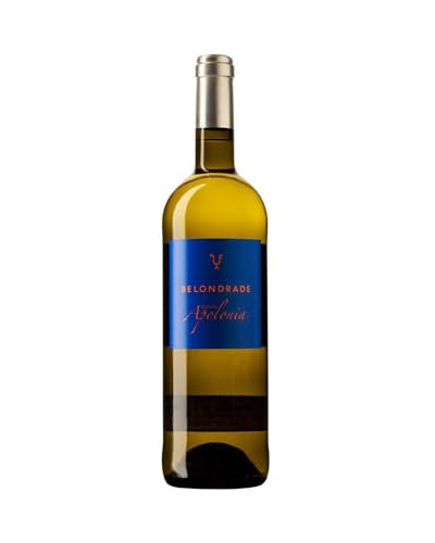 Quinta Apolonia 2023