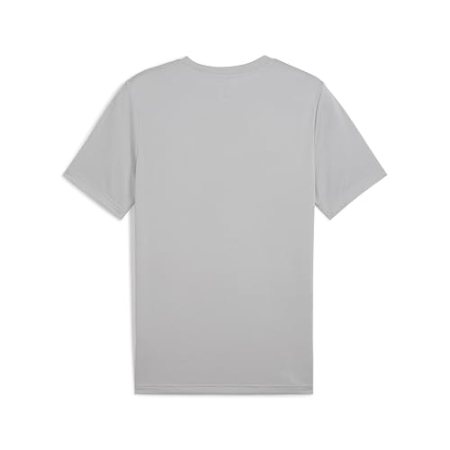 Puma Men's Regular Fit Tees (682542_Cool Light Gray