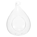 Jardinière suspendue en verre - la conception simple et artistique la rend plus attrayante pour les gens, peut être un joli cadeau pour vos amis, jardinières en verre