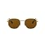 Gold/Polarized B-15 Brown