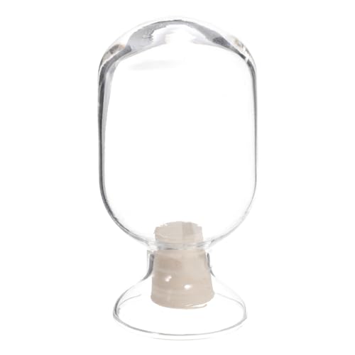 FOMIYES Transparent Glass Match Holder Multifunctional Display Bottle for Laboratory Use Round Specimen Jar with Stopper for Experiments