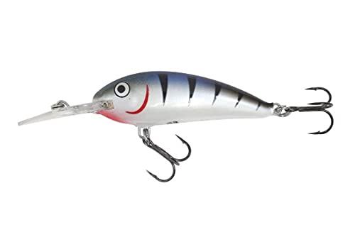 Northland Fishing Tackle Rumble Shad Medium Diving Balsa Crankbait - Freshwater Lures for Bass, Crappie, Walleye, Trout and Many More (Blue Tiger, 2.25