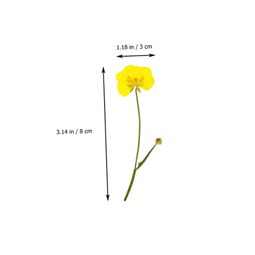 SEWACC 24 Pçs Botão De Com Ramos Acessórios Para Unhas Acessórios Para Joias Flores Secas Para Resin