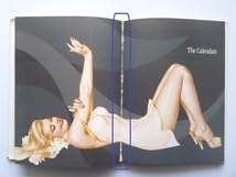 Amazon.co.jp: 洋書バルガス ピンナップガール画集 作品写真集 本