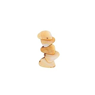 Guangcailun 5 pièces de médiators de guitare Acoustic Bass Pick Musical Accessoire Instrument - Les Beatles, Paul McCartney, John Lennon, RIngo Starr, George Harrison