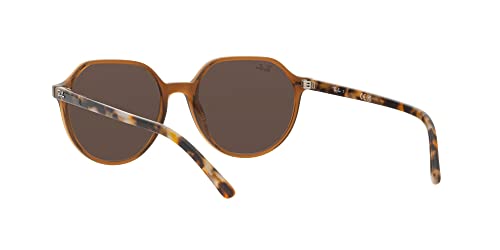 Image of Ray-Ban RB2195f Thalia Low Bridge Fit Square Sunglasses
