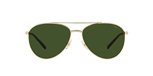 ARNETTE Men's an 3085 Pilot Sunglasses