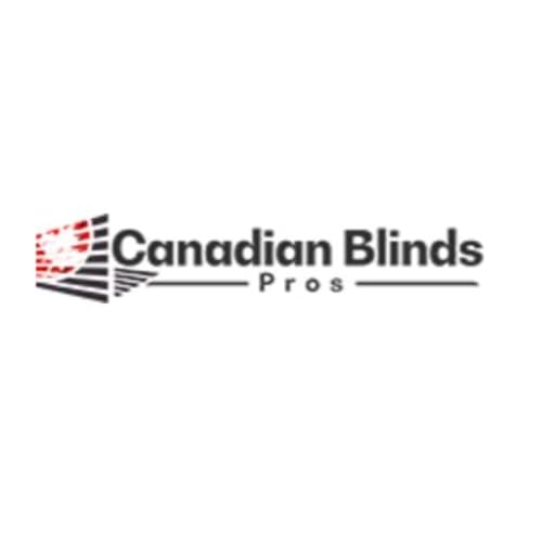 Page de couverture de Roller Blinds Canada: Simple, Sleek, and Effective Window Treatments