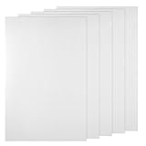 Classicseali 5 Stück Weiß Fursuit Augen Mesh für Handwerk, Eye Mesh Stoff 0.5 mm, Wasserdichte Plastic Canvas für Taschen zur Cosplay Requisiten,Ork-Maske,Fursuits,Kunsthandwerk(30x20cm)
