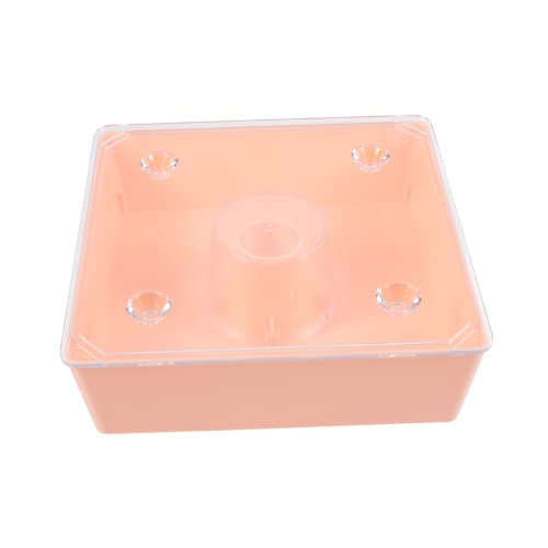 Balacoo 1 Conjunto Bebedouro De Abelha Ferramentas De Apicultor Apicultura Dispensador De Água Supri