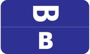 Doctor Stuff - File Folder Labels, Alphabet Letter B, Compatible with Smead Alpha-Z Acc/ACCS - SMAM Series Alpha Stickers Dark Blue, 1-5/8" x 1”, 100 Labels per Package