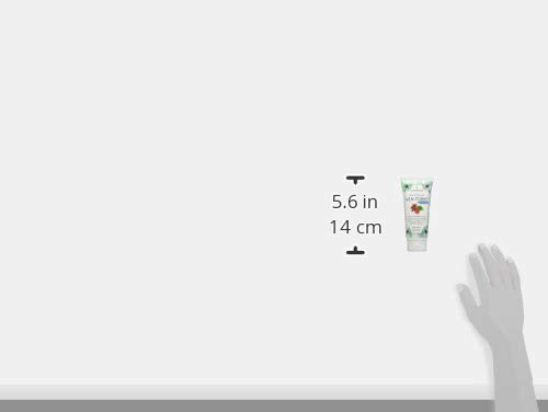 Alma Briosa Fitopomata Ven-Tonic- 100 Ml - 4