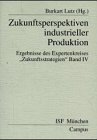 Zukunftsperspektiven industrieller Produktion. Ergebnisse des Expertenkreises 'Zukunftsstrategien'. Bd. 4