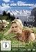 Produktbild Nur ein Sommer