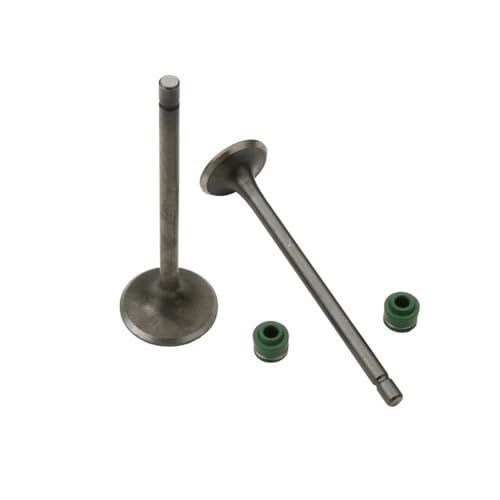 2PC Intake and Exhaust Valves for BT CG110 CG125 CB125J CB125S XL125 4-Stroke Engine 14711-383-000 14721-383-000