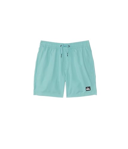 Quiksilver Boys Everyday Solid 12 Volley Boardshort Swim Trunk Youth