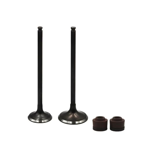Kit tige de valve et joint d'huile moteur pour AX-1 NX250 XL250